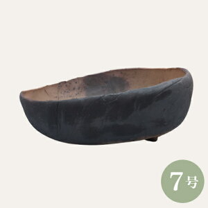 yZ[za ~͔ R쑐 [980-0900] 7 Aؔ a  葢(TCY a23.0×s18.0×9.5cm)