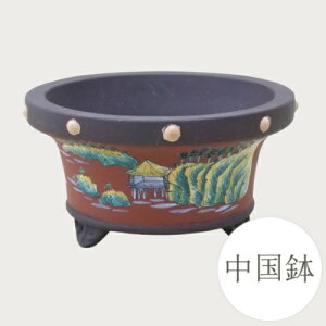 yZ[za ~͔  (EX) [980-0719] DGt ~j~ Aؔ a (TCY a13.5×7.0cm)