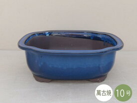楽天市場 植木鉢 10号 和風の通販