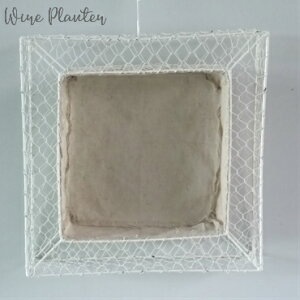 y15%OFFznMO nMOv^[ [150-102ST] C[[X  A 񂹐A O O   NX}X[X StbNt (TCY30.0cm [9.0cm)A͊܂܂