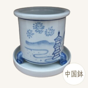 yZ[za ~͔  (LȔ~B) [980-0737] {t Mt ~j~ Aؔ a  (TCY a10.0×10.0cm)
