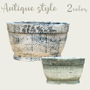 y15%OFFzAؔ v^[ t@Co[Xg[ [194-842LL] 11 ^ I[o`  킢 AeB[N K[fjO  K[f  | x_ oRj[ 蕨 Mtg 