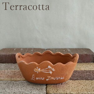y15%OFFzAؔ eRb^ [185-405SS-04] 6 fĂ  Aؔ Jo[   K[fjO (TCY18.3×s11.0×7.5cm)