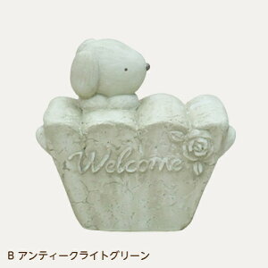 yǕi@AEgbgZ[zK[fI[ig [852-075 AEB] K[fG   u  Jg[ K[fANZT[ K[fjO (TCY19.0×17.0cm)