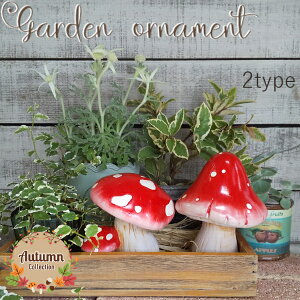 sʌI[igtI[ig [852-1205A/B] ̂ LmR mushroom K[fG  CeAG AeB[N u  Jg[ K[fANZT[ K[fjO H a