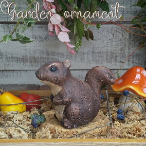 sʌI[igtI[ig [852-1218] 肷 X squirrel K[fG  CeAG AeB[N u  Jg[ K[fANZT[ K[fjO (TCY 