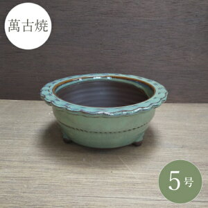 s݌ɌIta R쑐 ~͔ [4085] 5 Aؔ a  葢 (TCY a16.0×6.5cm)