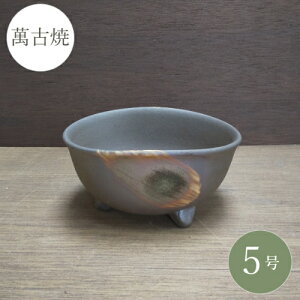 s݌ɌIta R쑐 ~͔ [4089] 5 Aؔ a  葢 (TCY 15.3×s13.0×7.8cm)
