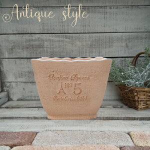 y15%OFFzAؔ v^[ t@Co[Xg[ [194-914M-76] 8 lp`  킢 AeB[N K[fjO  K[f  | x_ oRj[ 蕨 Mtg v[