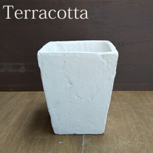 y15%OFFzAؔ eRb^ [980-0998] 5 fĂ    K[fjO (TCY16.7×s16.7×18.4cm)