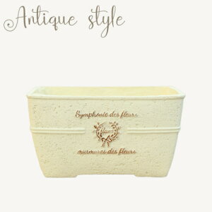 y15%OFFzAؔ v^[ t@Co[Xg[[194-905M-22] 6.5 ^ `  킢 AeB[N K[fjO  K[f  | x_ oRj[ 蕨 Mtg v