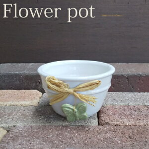 sʌt~j v^[  [173-001-05] 3.5 Aؔ Jo[ ~ ϗtA A Z_ T{e AeB[N   񂹐A K[fjO  CeAG (