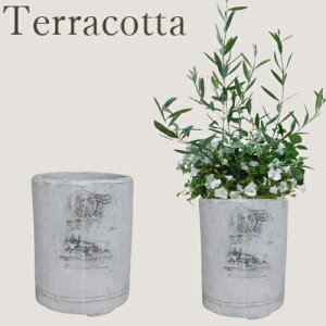 y15%OFFzAؔ eRb^ [185-621-19] 5 fĂ    K[fjO (TCYa15.0×19.0cm)