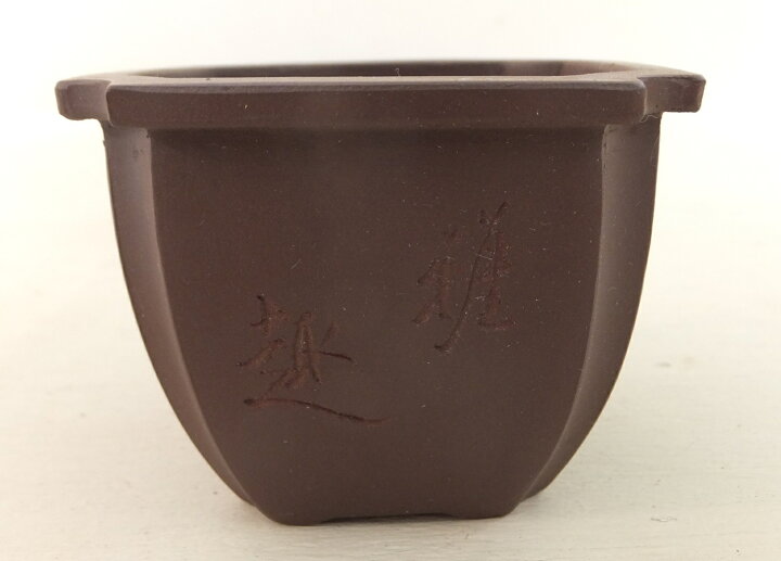 楽天市場】【良品 アウトレットセール】和鉢 盆栽鉢 中国鉢 (中国 