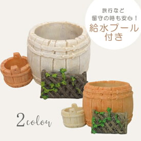 【良品　アウトレットセール】観葉鉢 植木鉢 [698-209] 観葉植物 多肉植物 セダム サボテン 水耕栽培用 おしゃれ 可愛い 寄せ植え ガーデニング インテリア雑貨 (サイズ 横12.0×全高7.0cm ポット内径6.1×高さ6.1cm 給水プール内径3.0cm)