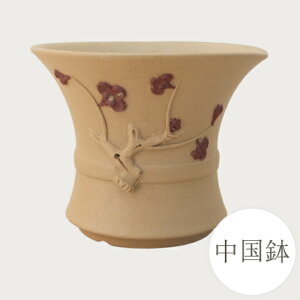 yǕi@AEgbgZ[za ~͔  (EX) [981-0304] ~j~ Aؔ a  葢 (TCY a8.0×6.5cm)