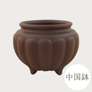 yǕi@AEgbgZ[za ~͔  (EX) [981-0307] 2 ~j~ Aؔ a  葢 (TCY a6.3×5.0×a5.0cm)