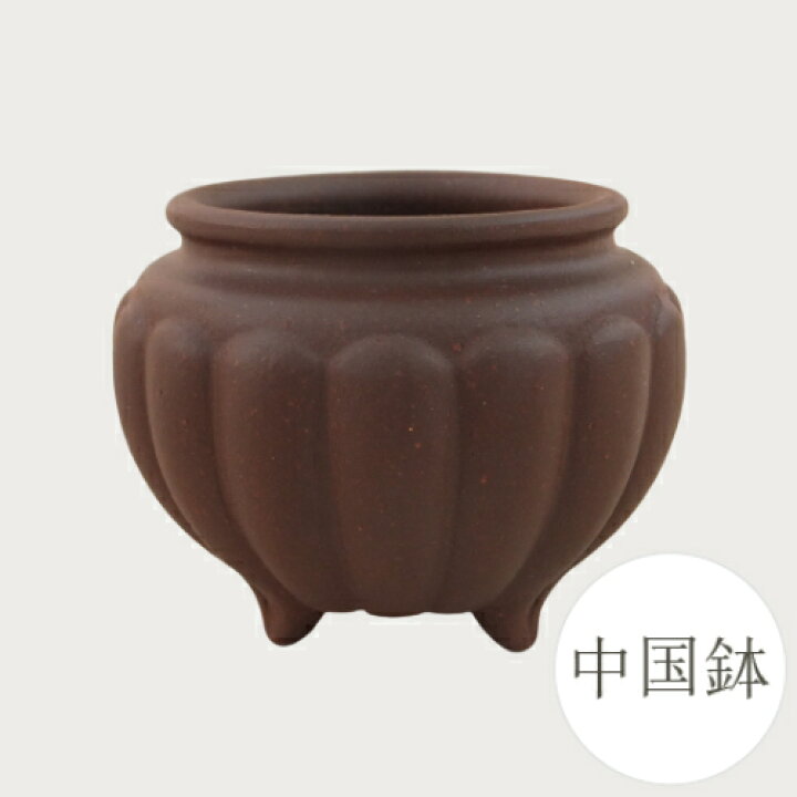楽天市場】【良品 アウトレットセール】和鉢 盆栽鉢 中国鉢 (中国  