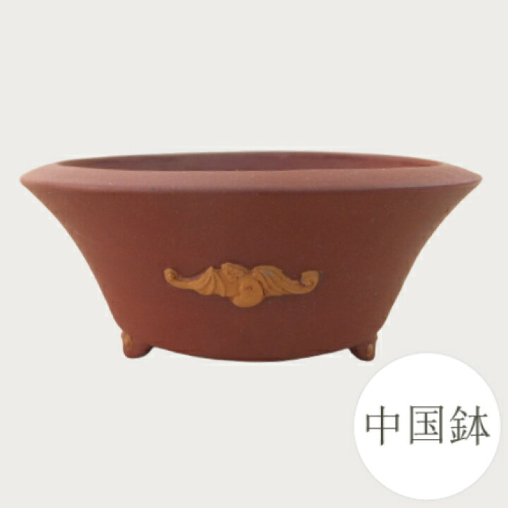 楽天市場】【良品 アウトレットセール】和鉢 盆栽鉢 中国鉢 (中国 