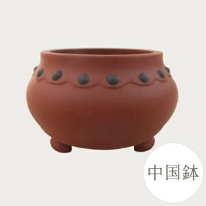 yǕi@AEgbgZ[za ~͔  (EX) [981-0314] ~j~ Aؔ a  葢 (TCY a6.2×3.5×a5.0cm)