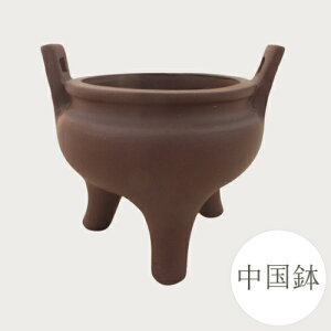 yǕi@AEgbgZ[za ~͔  (EX) [981-0321] 1.8 ~j~ Aؔ a  葢 (TCY a5.5×5.0×a5.0cm)