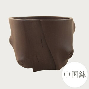 yǕi@AEgbgZ[za ~͔  (EX) [981-0322] ~j~ Aؔ a  葢 (TCY a6.0×4.3cm)