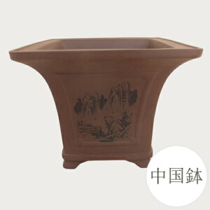 yǕi@AEgbgZ[za ~͔  (EX) [981-0329] ~j~ Aؔ a  葢 (TCY 14.2×s14.2×11.5cm)