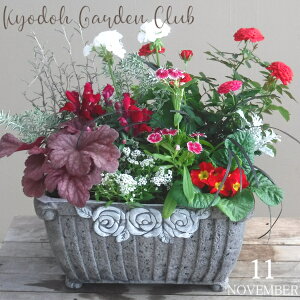 y񂹐AzG߂̊񂹐A G߂̉ԕc A[100-3013-13] v̊񂹐A v[g a ̓ ̓ Mtg j 蕨  킢 t@Co[Xg[ (194-485S-74)