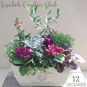 yI[ů񂹐AzG߂̊񂹐A G߂̉ԕc A[100-3013-18] v̊񂹐A v[g a ̓ ̓ Mtg j 蕨  킢 I[u t@Co[Xg[