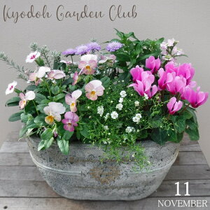 y񂹐AzG߂̊񂹐A G߂̉ԕc A[100-3013-17] v̊񂹐A v[g a ̓ ̓ Mtg j 蕨  킢 t@Co[Xg[ (194-902M-91)