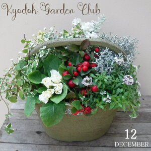 y񂹐Az񂹐A G߂̊񂹐A G߂̉ԕc A[100-3016-4] A v̊񂹐A v[g a ̓ ̓ Mtg j 蕨  킢 t@Co[Xg[ 