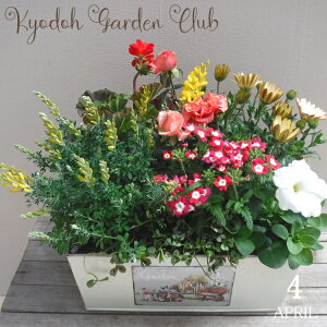 y񂹐AzG߂̊񂹐A G߂̉ԕc uL̊񂹐A [100-3018-4] v̊񂹐A v[g a ̓ ̓ Mtg j 蕨  킢 uL (177-033-106M
