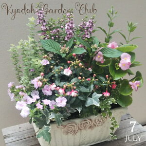 y񂹐AzG߂̊񂹐A G߂̉ԕc A[100-3013-12] v̊񂹐A v[g a ̓ ̓ Mtg j 蕨  킢 t@Co[Xg[ (194-485S-22)