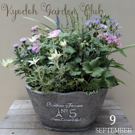 【寄せ植え】季節の寄せ植え 季節の花苗 鉢植え[100-3013-19] プロの寄せ植え プレゼント 誕生日 母の日 父の日 ギフト お祝い 贈り物 おしゃれ かわいい ファイバーストーン 送料無料(194-912L-74)