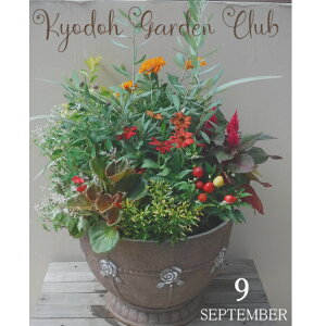 yI[ů񂹐Az񂹐A G߂̊񂹐A G߂̉ԕc A[100-3016-13] A v̊񂹐A v[g a ̓ ̓ Mtg j 蕨  킢 t@Co[X