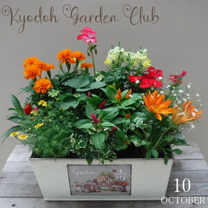 y񂹐AzG߂̊񂹐A G߂̉ԕc uL̊񂹐A [100-3018-4] v̊񂹐A v[g a ̓ ̓ Mtg j 蕨  킢 uL (177-033-106M