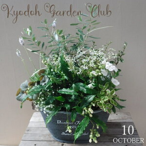 yI[ů񂹐AzG߂̊񂹐A G߂̉ԕc A[100-3013-20] v̊񂹐A v[g a ̓ ̓ Mtg j 蕨  킢 t@Co[Xg[ 