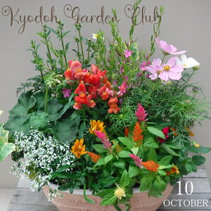 y񂹐AzG߂̊񂹐A G߂̉ԕc A[100-3013-16] v̊񂹐A v[g a ̓ ̓ Mtg j 蕨  킢 t@Co[Xg[ (194-902M-76)