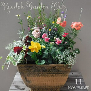 y񂹐AzG߂̊񂹐A G߂̉ԕc A[100-3013-25] v̊񂹐A v[g a ̓ ̓ Mtg j 蕨  킢 t@Co[Xg[ (194-843L-93)