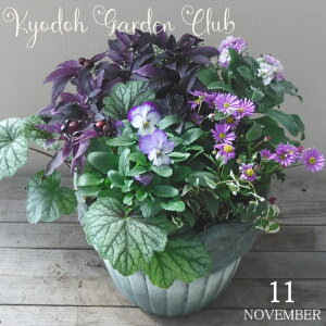 y񂹐Az񂹐A G߂̊񂹐A G߂̉ԕc A[100-3017-10] A v̊񂹐A v[g a ̓ ̓ Mtg j 蕨  킢 eRb^ (174-