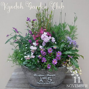 y񂹐AzG߂̊񂹐A G߂̉ԕc A[100-3013-19] v̊񂹐A v[g a ̓ ̓ Mtg j 蕨  킢 t@Co[Xg[ (194-912L-74)