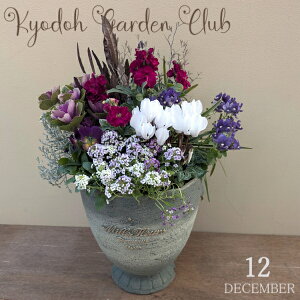 �y�񂹐A���z�񂹐A�� �G�߂̊񂹐A�� �G�߂̉ԕc ���A��[100-3016-14] ��A �v���̊񂹐A�� �v���[���g �a���� ��̓� ���̓� �M�t�g ���j�� ���蕨 ������� ���킢�� �t�@�C�o�[�X�g�[�� ��