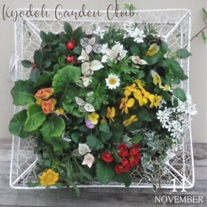 y񂹐AE[Xz񂹐A G߂̊񂹐A G߂̉ԕc A[100-3015-2] A v̊񂹐A v[g a ̓ ̓ Mtg j 蕨  킢 nMO C