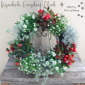 yNX}X̊񂹐AE[XzG߂̊񂹐A NX}X X'mas NX}X[X G߂̉ԕc nMOEC[[100-3015-4] v̊񂹐A v[g a ̓ ̓ Mtg 