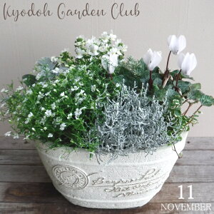 y񂹐AzG߂̊񂹐A G߂̉ԕc A[100-3013-23] v̊񂹐A v[g a ̓ ̓ Mtg j 蕨  킢 t@Co[Xg[ (194-953S-22)