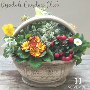 y񂹐AzG߂̊񂹐A G߂̉ԕc A[100-3013-22] v̊񂹐A v[g a ̓ ̓ Mtg j 蕨  킢 t@Co[Xg[ (194-923S-92)