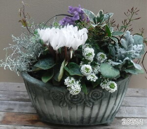 寄せ植え 鉢 おしゃれ 生花の人気商品 通販 価格比較 価格 Com