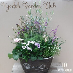 yI[ů񂹐Az񂹐A G߂̊񂹐A G߂̉ԕc A[100-3016-12] A v̊񂹐A v[g a ̓ ̓ Mtg j 蕨  킢 t@Co[X