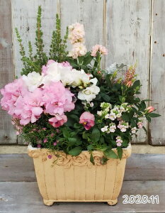 寄せ植え 鉢 おしゃれ 生花の人気商品 通販 価格比較 価格 Com