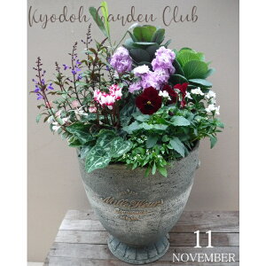 y񂹐Az񂹐A G߂̊񂹐A G߂̉ԕc A[100-3016-14] A v̊񂹐A v[g a ̓ ̓ Mtg j 蕨  킢 t@Co[Xg[ 